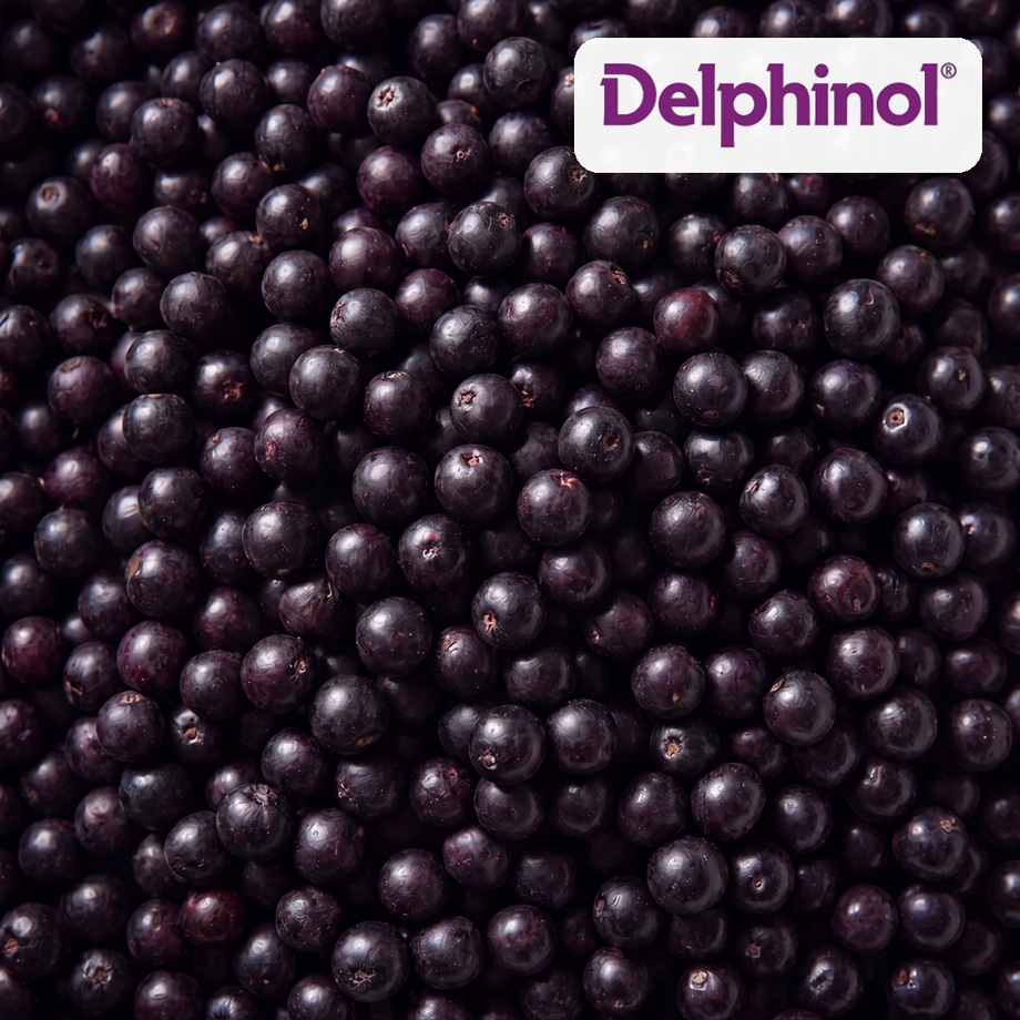 Maqui Berry Extract